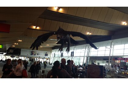 20161020_132059.jpg