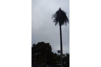 20181221_075056.jpg