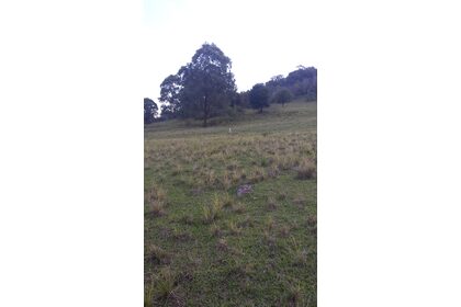 20190408_164552.jpg