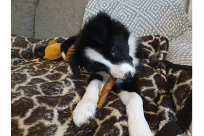 20200702_200651.jpg
