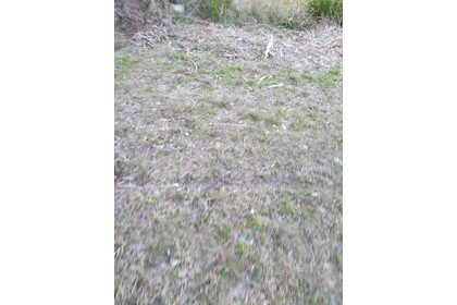 20200801_171211.jpg