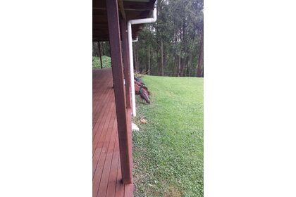 20170609_103051.jpg