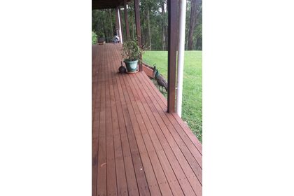 20170609_103105.jpg