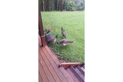 20170609_103121.jpg