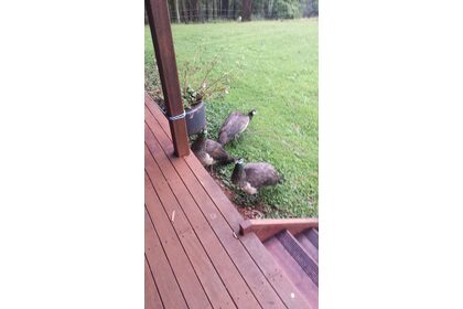 20170609_103141.jpg