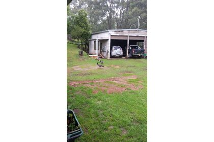 20170610_094538.jpg