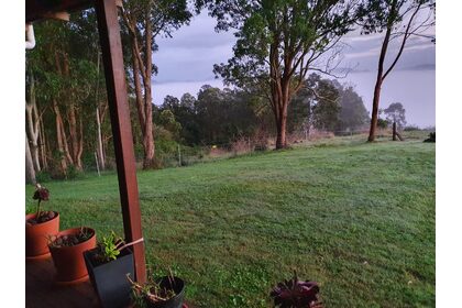 20220409_055344.jpg
