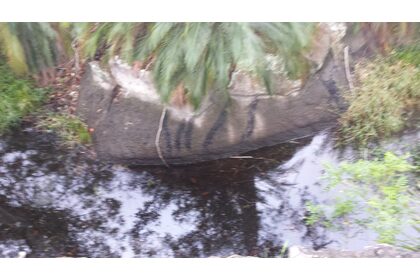 20180427_091159.jpg